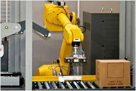 Slew Drive Application Industrial în braț robotizat